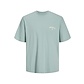Jack & Jones Jack & Jones Heren T-shirt JORSANTORINI Ronde Hals Mintgroen