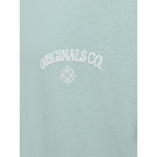 Jack & Jones Jack & Jones Men's T-shirt JORSANTORINI Round Neck Mint Green