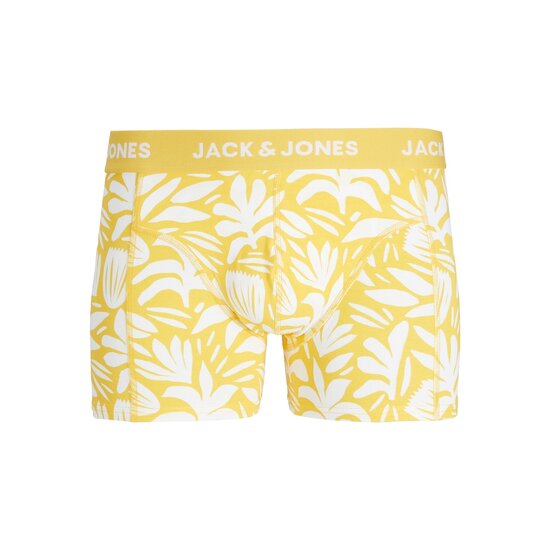 Jack & Jones Junior Jack & Jones Junior Boxer Shorts Boys Trunks JACMARBELLA Print 3-Pack