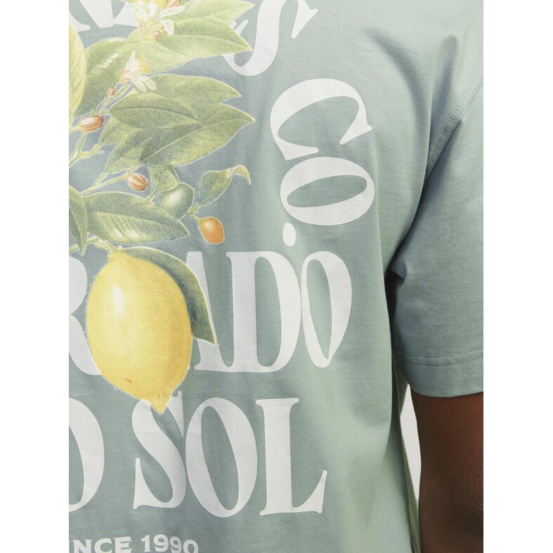 Jack & Jones Jack & Jones Heren T-shirt JORMYKONOS Ronde Hals Mintgroen