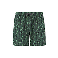 Shiwi Shiwi Heren Zwemshort Abstract Jungle Groen