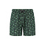 Shiwi Shiwi Heren Zwemshort Abstract Jungle Groen