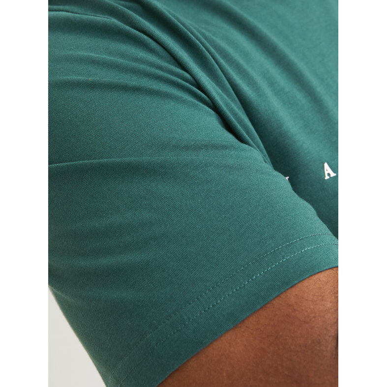 Jack & Jones Jack & Jones Plus Size Men's T-shirt JJESTAR Teal