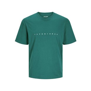 Jack & Jones Plus Size Heren T-shirt JJESTAR Teal