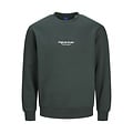 Jack & Jones Jack & Jones Heren Sweater Trui JORVESTERBRO Groen