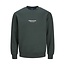 Jack & Jones Jack & Jones Men's Sweater Sweater JORVESTERBRO Green