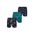 Happy Shorts Happy Shorts X Heren Wijde Boxershort Met Binnenbroek Cactus/Tucan Groen/Zeemeeuw Print 3-Pack