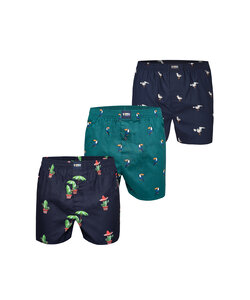 Happy Shorts X Heren Wijde Boxershort Met Binnenbroek Cactus/Tucan Groen/Zeemeeuw Print 3-Pack