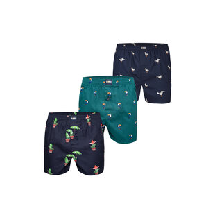 Happy Shorts X Men's Wide Boxer Shorts With Inner Briefs Cactus/Tucan Green/Seagull Print 3-Pack