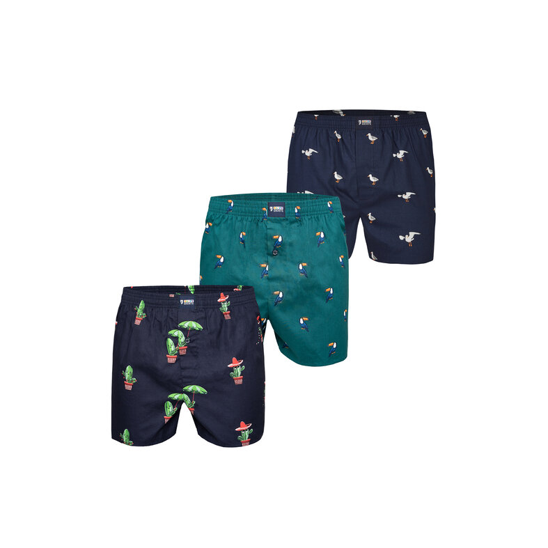 Happy Shorts Happy Shorts X Men's Wide Boxer Shorts With Inner Briefs Cactus/Tucan Green/Seagull Print 3-Pack