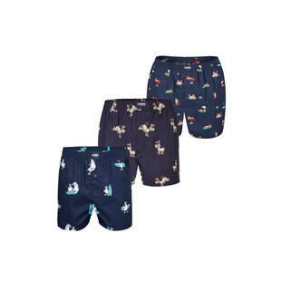 Happy Shorts X Men's Wide Boxer Shorts With Inner Briefs Surfing Seagull/Ezel/Luorse Print 3-Pack