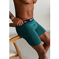 Phil & Co Phil & Co Boxer Shorts Men's Long-Pipe Boxer Briefs 4-Pack Blue / Green