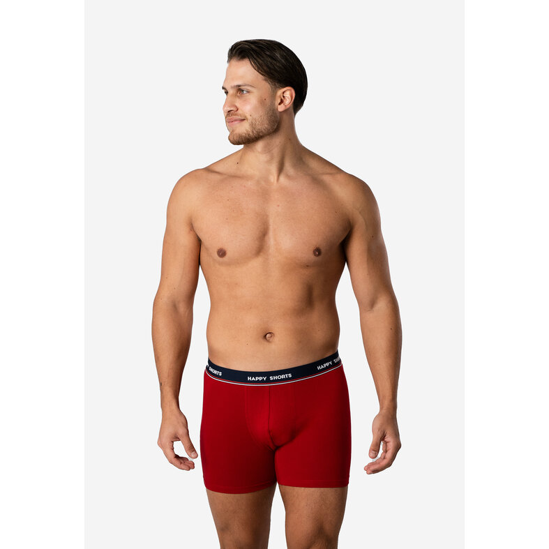 Happy Shorts Happy Shorts Heren Boxershorts Kerst Print 2-Pack Gingerbread