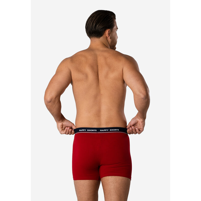 Happy Shorts Happy Shorts Heren Boxershorts Kerst Print 2-Pack Gingerbread