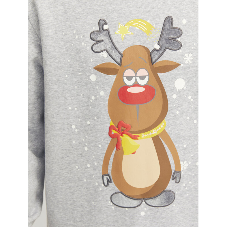 Jack & Jones Jack & Jones Men's Christmas Sweater JJXMAS JOLLY Gray