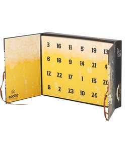 Apollo Men's Socks Advent Calendar 12-Pair Christmas Gift Box Beer Print