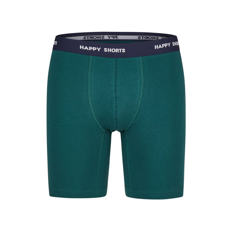 Happy Shorts Happy Shorts Christmas Boxer Shorts Men's Long Legs Boxer Briefs 2-Pack Green/Blue