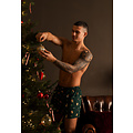 Happy Shorts Happy Shorts Heren Wijde Boxershorts Kerst Print 2-Pack Lichtblauw/Groen