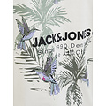 Jack & Jones Jack & Jones Men's T-Shirt JJHAWAII Round Neck White