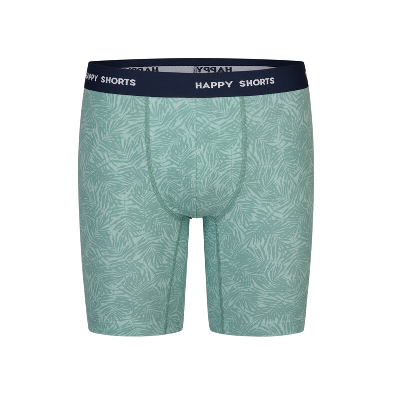 Happy Shorts Happy Shorts Heren Boxershorts Met Lange Pijpen Boxer Briefs Palmbladeren Print 2-Pack
