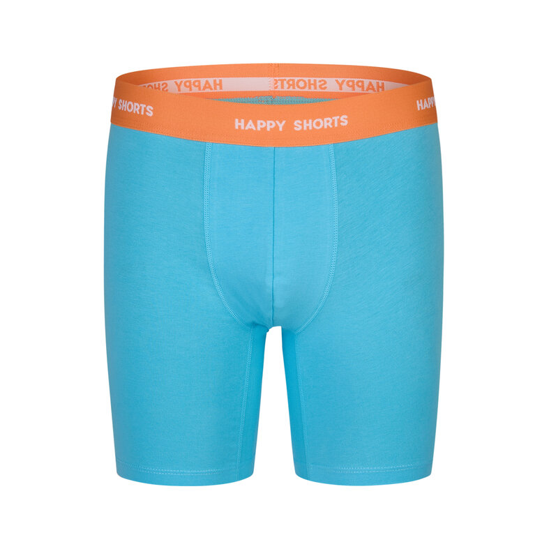 Happy Shorts Happy Shorts Men's Long Legs Boxer Briefs 4-Pack Palms Blue