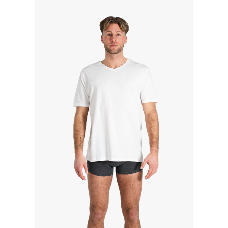 Phil & Co Phil & Co Men's Undershirt Cotton T-shirt V-Neck 2-Pack White