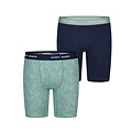 Happy Shorts Happy Shorts Heren Boxershorts Met Lange Pijpen Boxer Briefs Palmbladeren Print 2-Pack
