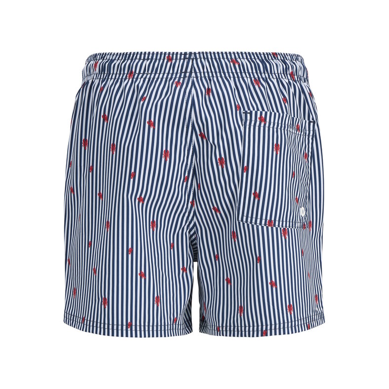 Jack & Jones Junior Jack & Jones Junior Boys Swim Short JPSTMAUI Lobster Blue/White Striped
