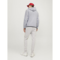 Jack & Jones Jack & Jones Heren Hoodie Met Rits JCOFUSION Grijs