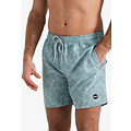 Happy Shorts Happy Shorts Men's Swim Short Palm Leaves Blue Gray Print