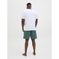 Jack & Jones Jack & Jones Heren Plus Size Zwemshort JPSTMAUI JJSWIM Groen