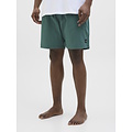 Jack & Jones Jack & Jones Heren Plus Size Zwemshort JPSTMAUI JJSWIM Groen