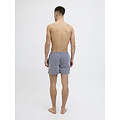 Jack & Jones Jack & Jones Men's Swim Short JPSTMAUI JJSWIM Striped Lobster