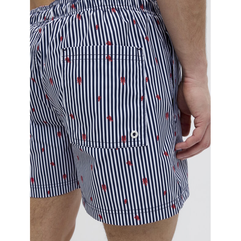 Jack & Jones Jack & Jones Men's Swim Short JPSTMAUI JJSWIM Striped Lobster