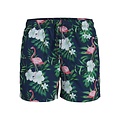Jack & Jones Jack & Jones Heren Zwemshort JPSTMAUI Flamingo Print Blauw