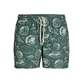 Jack & Jones Jack & Jones Heren Zwemshort JPSTMAUI MATURE Schelpen Print Groen