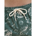 Jack & Jones Jack & Jones Heren Zwemshort JPSTMAUI MATURE Schelpen Print Groen