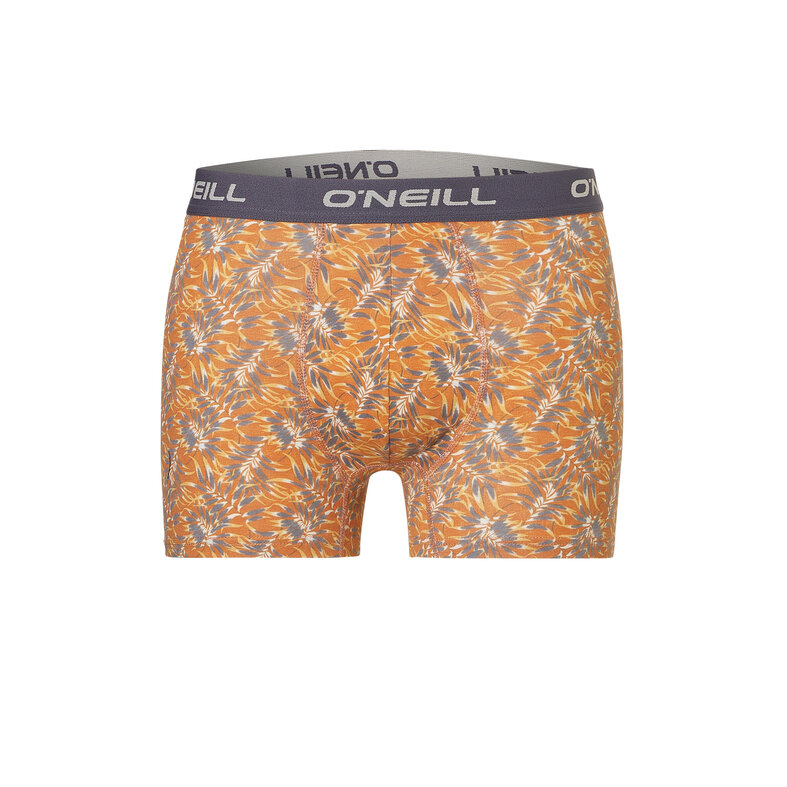 O'Neill O'Neill Heren Boxershorts Trunks Dipped Leaf 3-Pack
