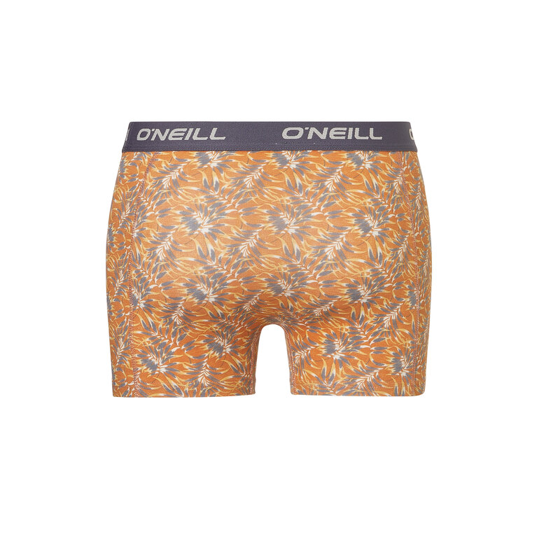 O'Neill O'Neill Heren Boxershorts Trunks Dipped Leaf 3-Pack