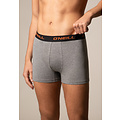 O'Neill O'Neill Heren Boxershorts Trunks Dipped Leaf 3-Pack