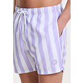 Shiwi Shiwi Men's Swim Short Broad Stripe Purple/White