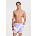 Shiwi Shiwi Men's Swim Short Broad Stripe Purple/White