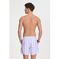 Shiwi Shiwi Men's Swim Short Broad Stripe Purple/White
