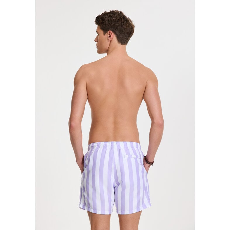 Shiwi Shiwi Heren Zwemshort Broad Stripe Paars/Wit