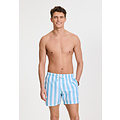 Shiwi Shiwi Men's Swim Short Broad Stripe Light Blue/White