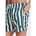 Shiwi Shiwi Men's Swim Short Broad Stripe Dark Green/White