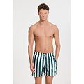 Shiwi Shiwi Heren Zwemshort Broad Stripe Donkergroen/Wit