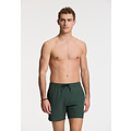 Shiwi Shiwi Heren Zwemshort SCOTT Stretch 6" Effen Groen