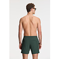 Shiwi Shiwi Heren Zwemshort SCOTT Stretch 6" Effen Groen