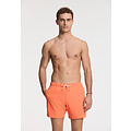 Shiwi Shiwi Heren Zwemshort SCOTT Stretch 6" Effen Oranje